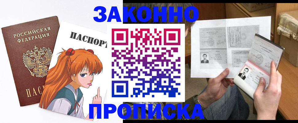 прописка законно в Коряжме